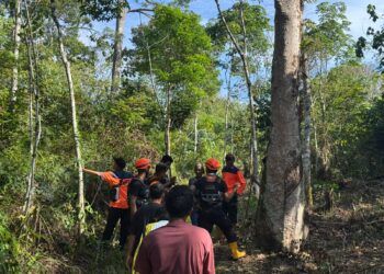 Haikal, Balita 3,5 Tahun yang Hilang di Pasaman Belum Ditemukan, Operasi SAR Dihentikan
