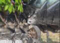 Diduga Mengantuk, Gran Max Serempet Motor Parkir di Pesisir Selatan, Pelajar 19 Tahun Jadi Korban