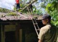Akibat Angin Kencang, Pohon Besar Timpa Rumah di Padang