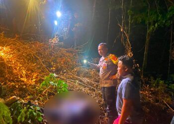 Pergi ke Ladang, Warga Pesisir Selatan Tak Kunjung Pulang, Ditemukan Tewas, Kepala Berdarah