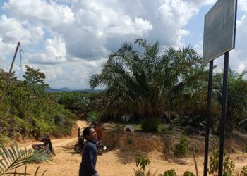 Ninik Mamak Sikabau Dharmasraya Minta Izin PT KBL Dicabut, Klaim 1.500 Hektare Tanah Ulayat Masuk Konsesi