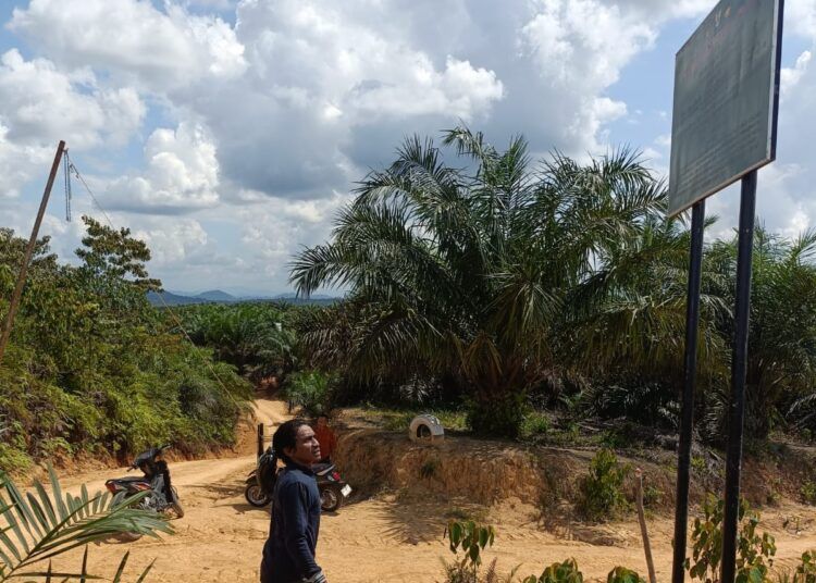 Papan informasi perizinan Kementerian Kehutanan terpasang di lokasi yang diklaim sebagai tanah ulayat Nagari Sikabau, Kecamatan Pulau Punjung, Kabupaten Dharmasraya.