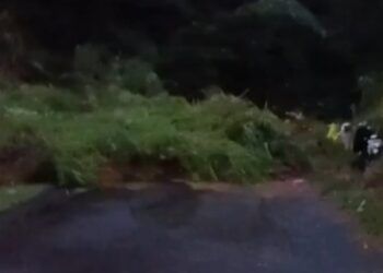 Video: Longsor Putus Akses Jalan Tapauah–Talu di Pasaman Barat