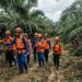 Pergi ke Kebun pada Sabtu Pagi, Petani di Pasaman Barat Hilang