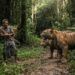 Deretan Konflik Harimau dengan Warga di Sumbar sejak 2020, Kerusakan Hutan Jadi Sorotan