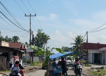 Geram Jalan Rusak Tak Kunjung Diperbaiki, Warga Lima Puluh Kota Tanam Pohon Pisang di Tengah Jalan