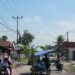 Geram Jalan Rusak Tak Kunjung Diperbaiki, Warga Lima Puluh Kota Tanam Pohon Pisang di Tengah Jalan
