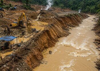 Tambang Emas Ilegal di Sumbar Tak Hanya Rusak Alam, Generasi Mendatang Terancam Lahir Cacat