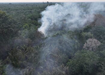 Bakar Lahan Milik Sendiri, Pria 79 Tahun di Riau Jadi Tersangka