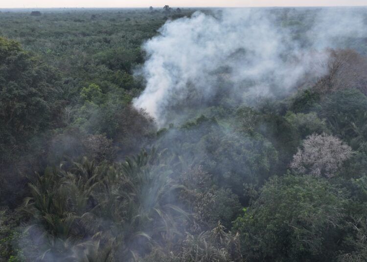Kebakaran lahan di Dusun I Temeran, Desa Temeran, Kecamatan Bengkalis, Kabupaten Bengkalis, Riau, pada Minggu (16/8/2026). Foto : Riau Media Center