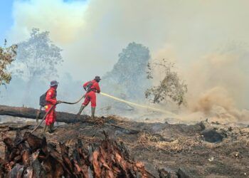 2.945 Titik Panas Terdeteksi di Sumatra, Sumbar Ada Berapa?
