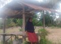 Harapan Yurnalis Pupus, Sawah yang Baru Direhabilitasi Kembali Rusak Diterjang Banjir