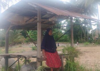 Harapan Yurnalis Pupus, Sawah yang Baru Direhabilitasi Kembali Rusak Diterjang Banjir