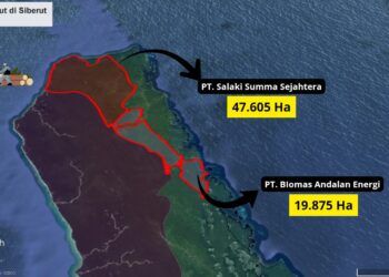 Pascapencabutan Tiga Izin Konsesi Hutan di Mentawai, WALHI Sumbar Desak Pemulihan Ekologi dan Pengakuan Hutan Adat