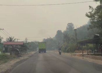 Kabut Asap Kiriman Selimuti Dharmasraya, PAUD dan TK Belajar dari Rumah