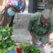 Jual Sayur dengan Gerobak Keliling, Lansia di Padang Berjuang Hidupi Belasan Anggota Keluarga