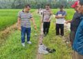 Petani di Agam Tewas Disambar Petir di Sawah, Ada Aroma Hangus di Tubuh Korban