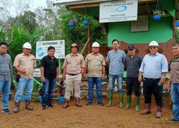 Kelompok Tani di Pesisir Selatan Laporkan Dugaan Pembukaan 400 Hektare Lahan HPK Tapan