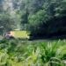 VIDEO: Kecelakaan Beruntun di Lurah Barangin Pasaman, Truk Ditabrak Truk, lalu Masuk Jurang