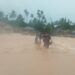 Banjir Lapau Munggu Padang, 50 KK Dievakuasi, Seorang Warga Diduga Patah Kaki Saat Selamatkan Diri