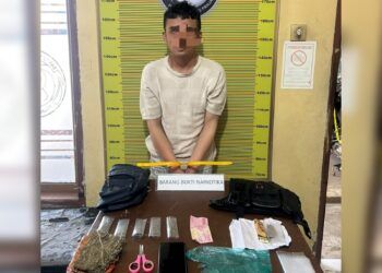 Polisi Tangkap Pengedar Ganja di Tanah Datar, Enam Paket Barang Bukti Disita