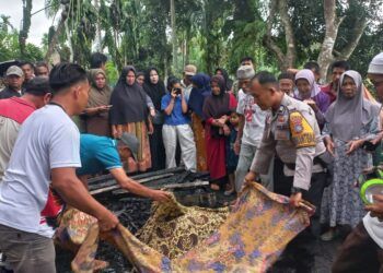 Petani di Pesisir Selatan Tewas Terbakar di Rumah Pondok, Istri Terbakar Separuh Badan