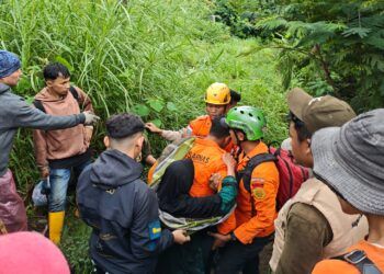 Hilang Sehari, Wanita Lansia di Agam Ditemukan di Pinggir Hutan