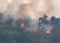 Kebakaran Landa Perbukitan di Lima Puluh Kota, Diduga Akibat Pembukaan Lahan