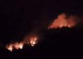 Lahan di Solok Terbakar, Api Masih Menyala