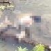Mayat Perempuan Membusuk Ditemukan Terapung di Pariaman