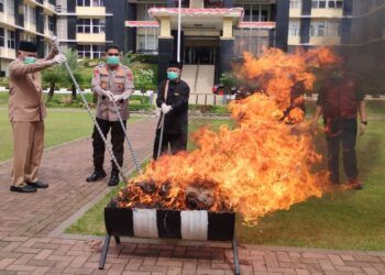 126 Kg Ganja dan Sabu-Sabu dari 51 Tersangka Dimusnahkan Polisi di Sumbar