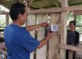 Pemkab Dharmasraya Digitalisasi Data Peternakan lewat Sidik Ternak