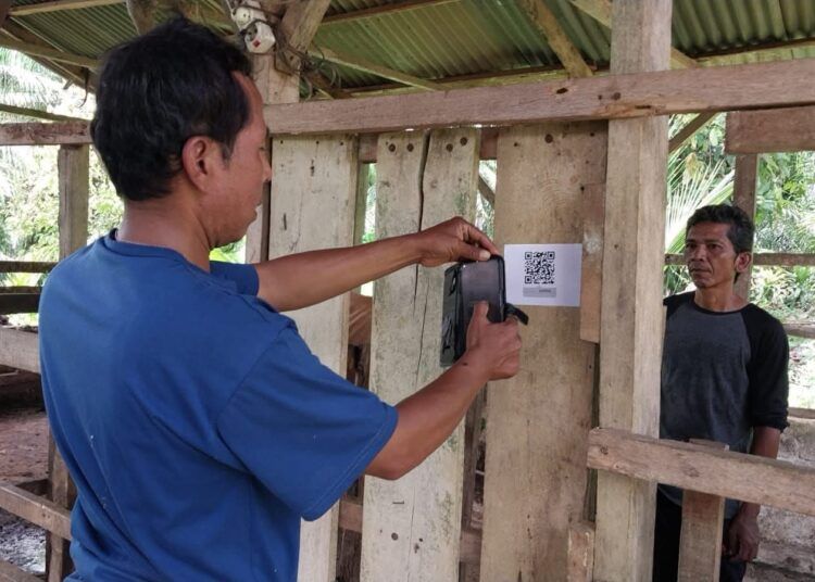 Warga memindai barkode yang ditempelkan pada kandang ternak di sebuah kandang sapi di Dharmasraya baru-baru ini. Foto: Pemkab Dharmasraya