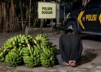 Pria di Lima Puluh Kota Nyaris Diamuk Massa Usai Ketahuan Ambil 5 Tandan Pisang