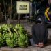 Pria di Lima Puluh Kota Nyaris Diamuk Massa Usai Ketahuan Ambil 5 Tandan Pisang