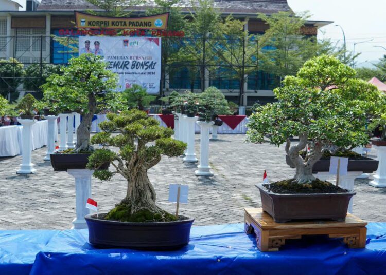 Wali Kota (Wako) Padang, Fadly Amran, membuka Pameran Bursa dan Jemur Bonsai yang digelar Perkumpulan Penggemar Bonsai Indonesia (PPBI) Cabang Padang di Lapangan Tugu Apeksi, Balai Kota Padang, Aie Pacah, Sabtu (22/8/2026).
