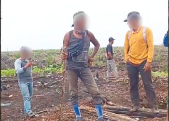 Video: Warga di Pesisir Selatan Cekcok, Klaim Lahannya Hendak Dirampas dan Bibit Sawit Dicabut