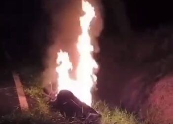 Motor Diduga Milik Pencuri Sawit di Agam Dibakar Warga