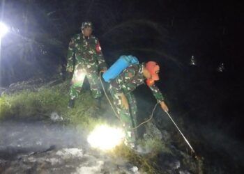 Tim Gabungan Berhasil Padamkan Tiga Titik Kebakaran Lahan di Dharmasraya