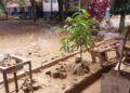 Banjir Rusak Fasilitas SMPN 41 Padang, Puluhan Meja Hanyut dan Arsip Sekolah Hancur