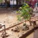 Banjir Rusak Fasilitas SMPN 41 Padang, Puluhan Meja Hanyut dan Arsip Sekolah Hancur