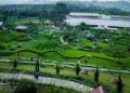 Kembangkan Peternakan dan Wisata Edukasi, Sirukam Dairy Farm Produksi 1.700 Liter Susu per Hari