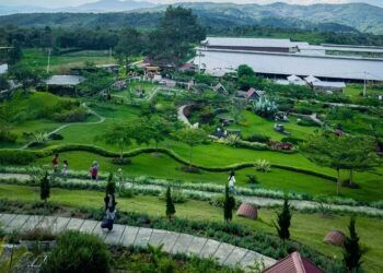Kembangkan Peternakan dan Wisata Edukasi, Sirukam Dairy Farm Produksi 1.700 Liter Susu per Hari
