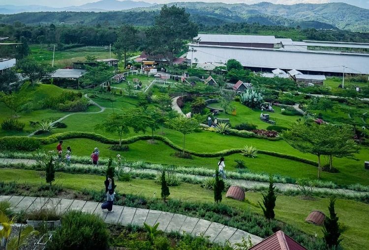Sirukam Dairy Farm (SDF) di Nagari Sirukam, Kecamatan Payung Sekaki, Kabupaten Solok.