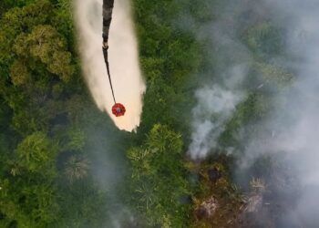 Asap Karhutla Riau Hingga ke Sumbar, Luas Lahan Terbakar Sudah 18.770 Hektare