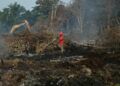 44 Tersangka Dijerat dalam 41 Kasus Karhutla di Riau, Polisi Tegaskan Penegakan Hukum Berjalan