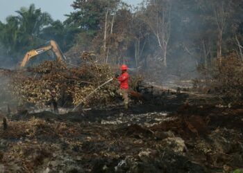 44 Tersangka Dijerat dalam 41 Kasus Karhutla di Riau, Polisi Tegaskan Penegakan Hukum Berjalan