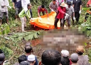Video: Penemuan Mayat di Kebun Sawit di Solok Selatan