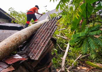 Pohon Timpa Bangunan PAUD di Pesisir Selatan
