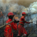 Karhutla Hanguskan Ribuan Hektare Lahan di Riau, 49 Orang Jadi Tersangka
